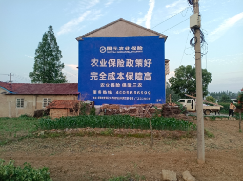 顺昌墙体广告为何受追捧？